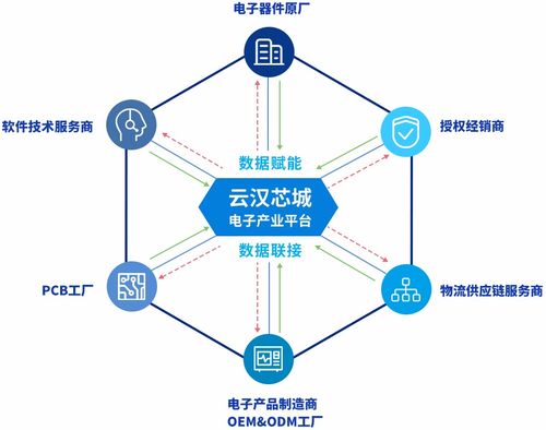 云漢芯城 驅動上海互聯網數據服務創新，賦能電子產業數字化轉型