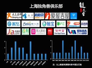 上海互聯網數據服務 錯失的過去與把握的現在